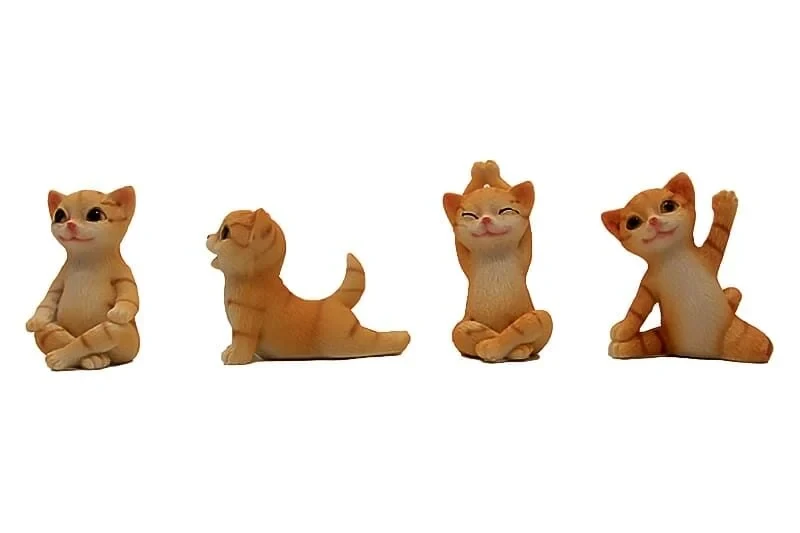 Yoga Yapan Kedi Biblolar 4'lü Set
