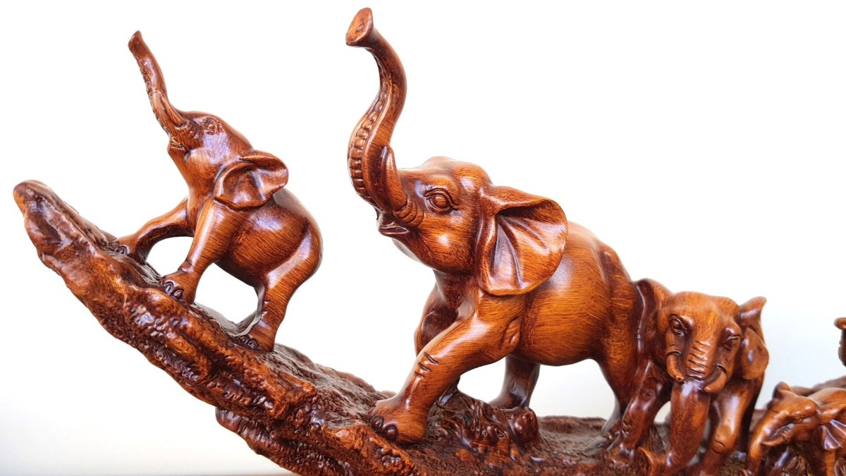 7'li Fil Ailesi Biblo